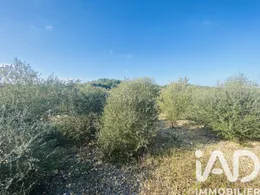Terrain à ROQUEFORT-DES-CORBIERES (11540)