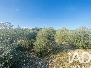 Terrain à ROQUEFORT-DES-CORBIERES (11540)