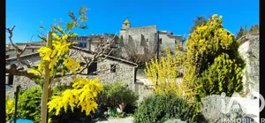 Maison de village à Aurel (84390)