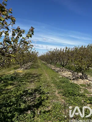 Farm land in Salses-le-Château (66600)