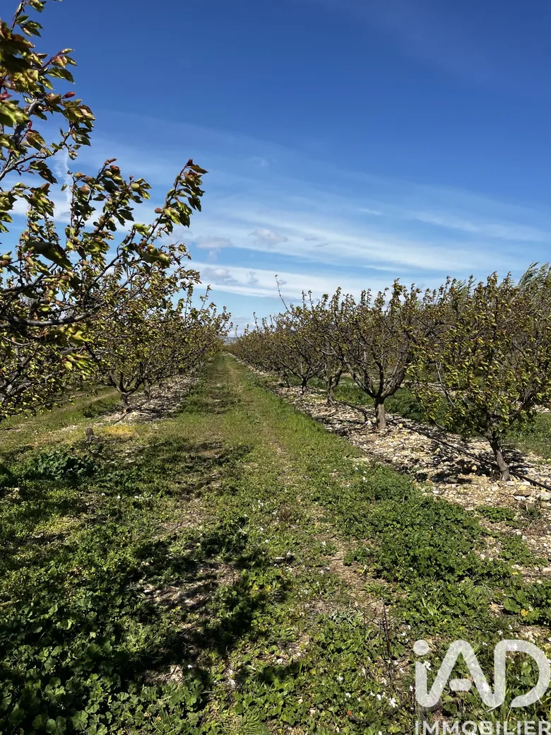 Terrain agricole à Salses-le-Château (66600) · 280 000 €