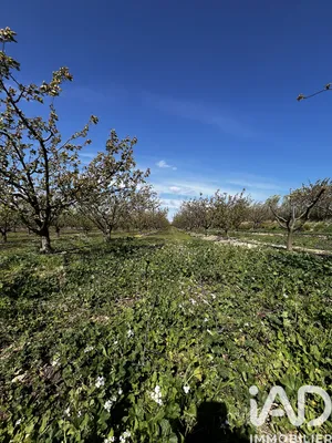 Farm land in Salses-le-Château (66600)