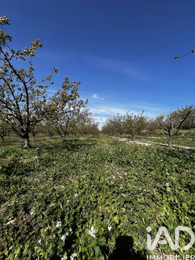 Farm land in Salses-le-Château (66600)