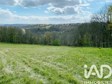 Land in Peyzac-le-Moustier (24620)