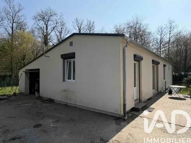 House in Dordives (45680)