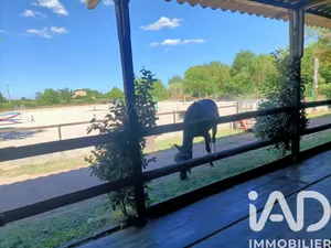 Haras à Le Luc (83340)