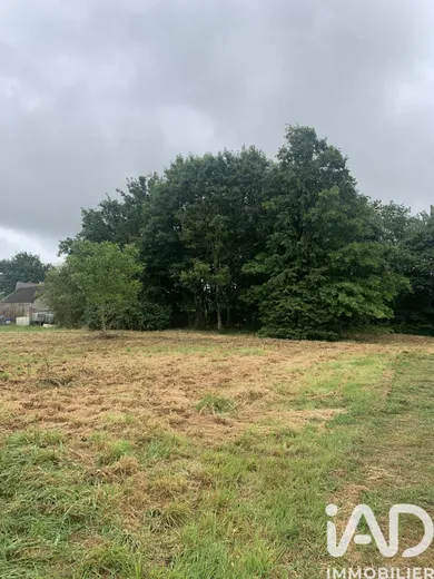Barn in Drefféac (44530)
