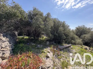 Terrain à bâtir à La Palme (11480)