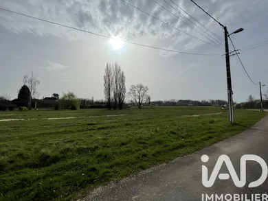 Land in Pontigny (89230)