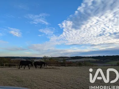 Domain in Châtignac (16480)