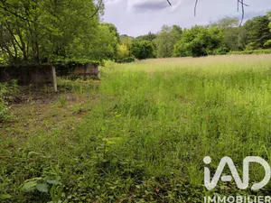 Terrain à Montigny-sur-Loing (77690)
