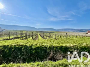 Building plot in Pfaffenheim (68250)