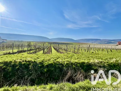 Building plot in Pfaffenheim (68250)