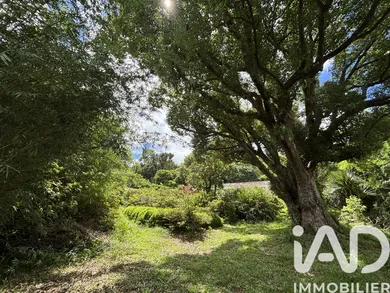 Terrain à Saint-Denis (97400)