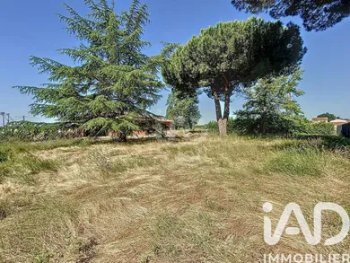 Land in Rieumes (31370)