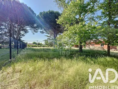Land in Rieumes (31370)