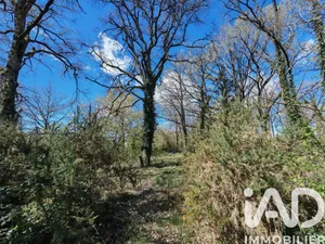 Terrain loisirs à Esvres (37320)