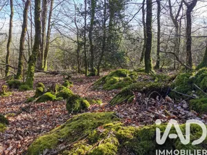 Terrain à Poullaouen (29246)