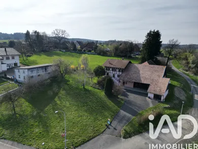 Traditional house in Pfetterhouse (68480)