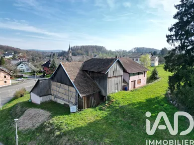 Traditional house in Pfetterhouse (68480)