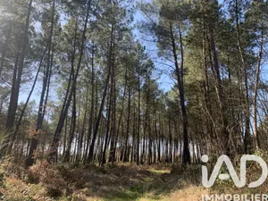Terrain agricole à Mezeray (72270)