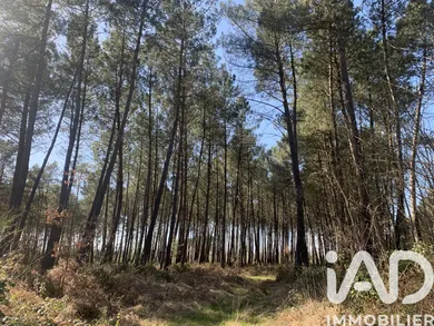 Terrain agricole  à Mezeray (72270)