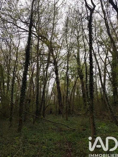 Land in Marles en Brie (77610)