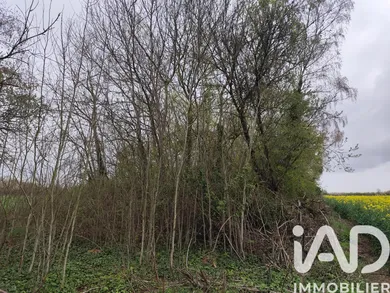 Land in Marles en Brie (77610)