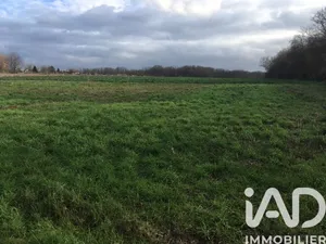Terrain à bâtir à Chaumot (89500)