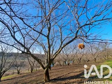 Land in Ozon (07370)