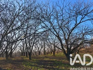 Land in Ozon (07370)