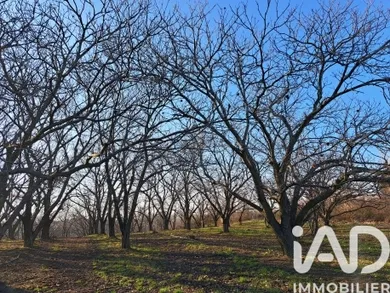 Land in Ozon (07370)