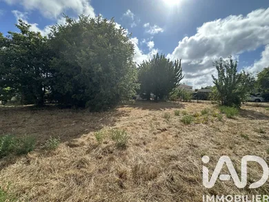 Land in dolus d oleron (17550)