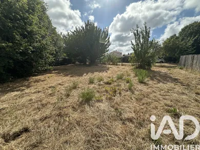 Land in dolus d oleron (17550)