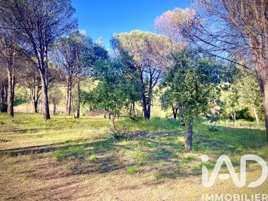 Land in Grimaud (83310)