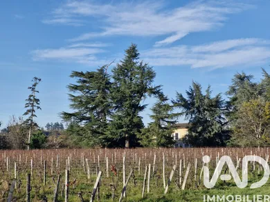 Domaine à Saint-Magne-de-Castillon (33350)