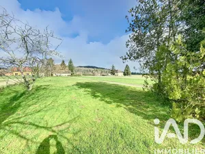 House in Thonac (24290)