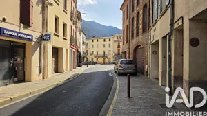 Apartment in Arles-sur-Tech (66150)