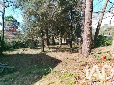 Terrain à Jard-sur-Mer (85520)