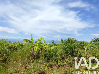 Building plot in Saint-Joseph (97480)