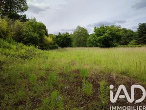 Terrain à Montigny-sur-Loing (77690)