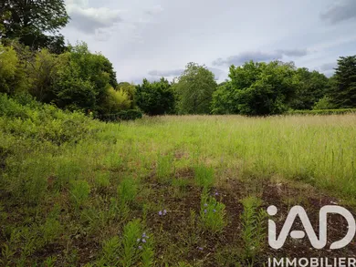 Land in Montigny-sur-Loing (77690)