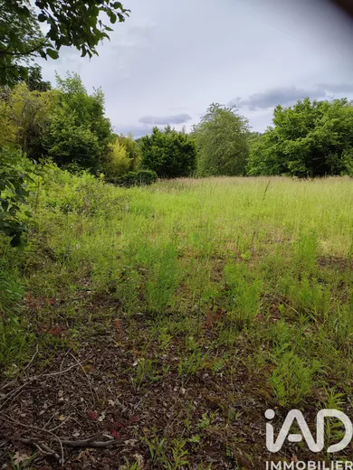 Land in Montigny-sur-Loing (77690)