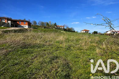 Land in Sauvain (42990)