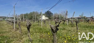 Maison à Saint-Magne-de-Castillon (33350)