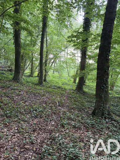 Land in Doullens (80600)