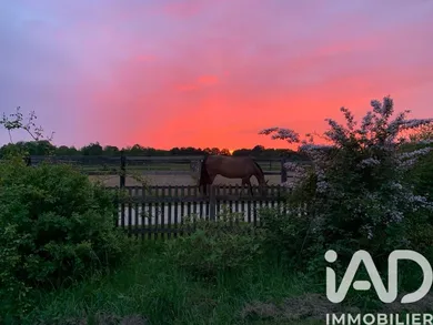 Haras à Les Bréviaires (78610)