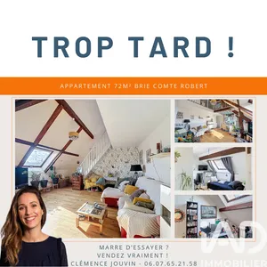 Duplex à Brie-Comte-Robert (77170)