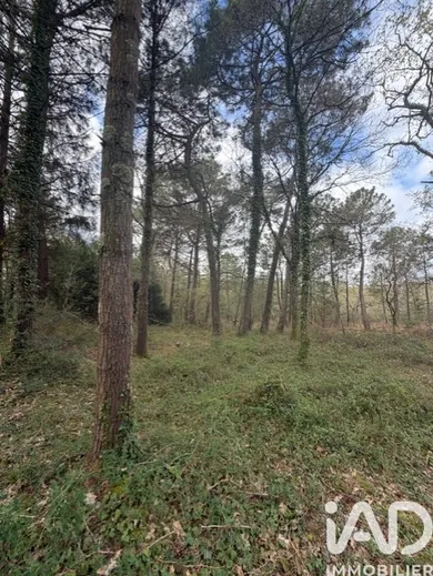 Farm land in PLOUHINEC (56680)
