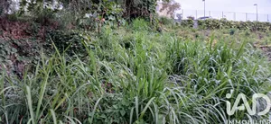 Terrain à bâtir à SAINT-JOSEPH (97480)